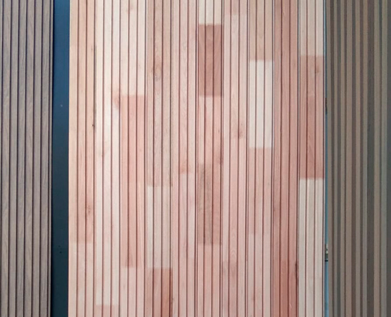 Imagen de Wall Panel Eucalipto Grandis