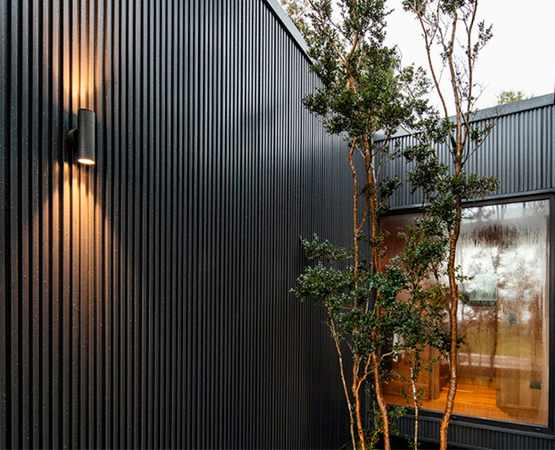 Wall Panel WPC Carbón
